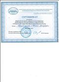 Сертификат участника всероссийской научно-практической конференции "Новосибирская область: история и современность"